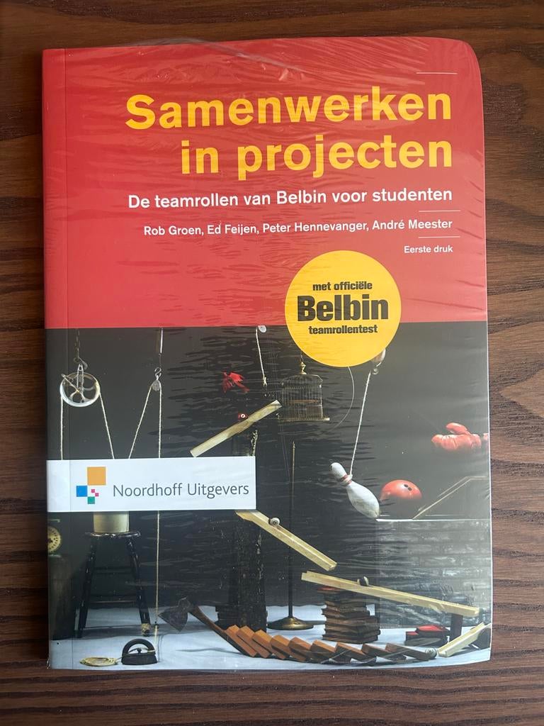 Ed Feijen - Samenwerken in projecten, Ed Feijen; André Meester; Peter Hennevanger; Rob Groen, Sociale wetenschap, Ophalen of Verzenden