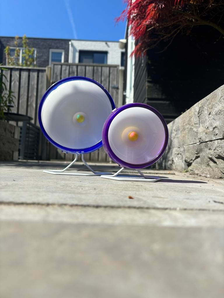 Hamster loopwiel, Ophalen of Verzenden, Zo goed als nieuw, Loopwiel of Rad