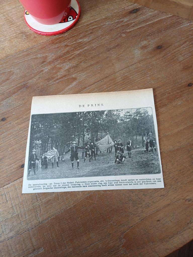 Knipsel padvinders organisatie Den Haag 1923, Verzamelen, Scouting, Ophalen of Verzenden, Gebruikt, Embleem, Speld of Insigne