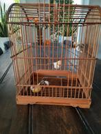 Lief decoratief vogelkooitje, Ophalen