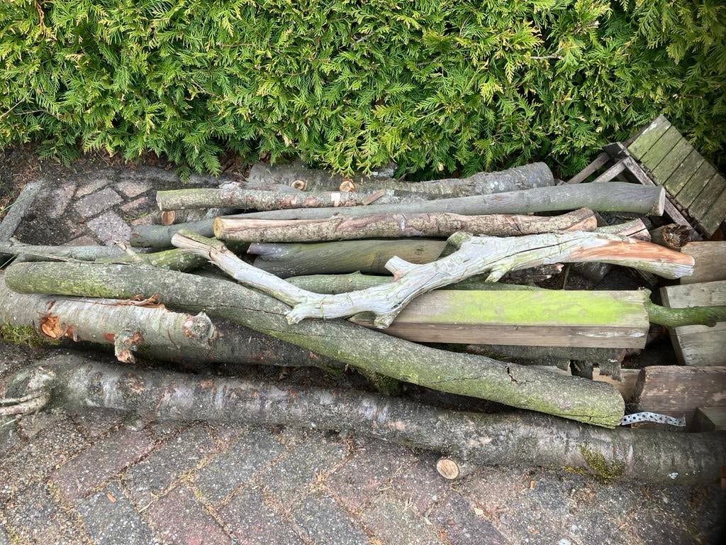 Openhaardhout gratis ophalen!, Tuin en Terras, Haardhout, Minder dan 3 m³, Ophalen of Verzenden, Takken
