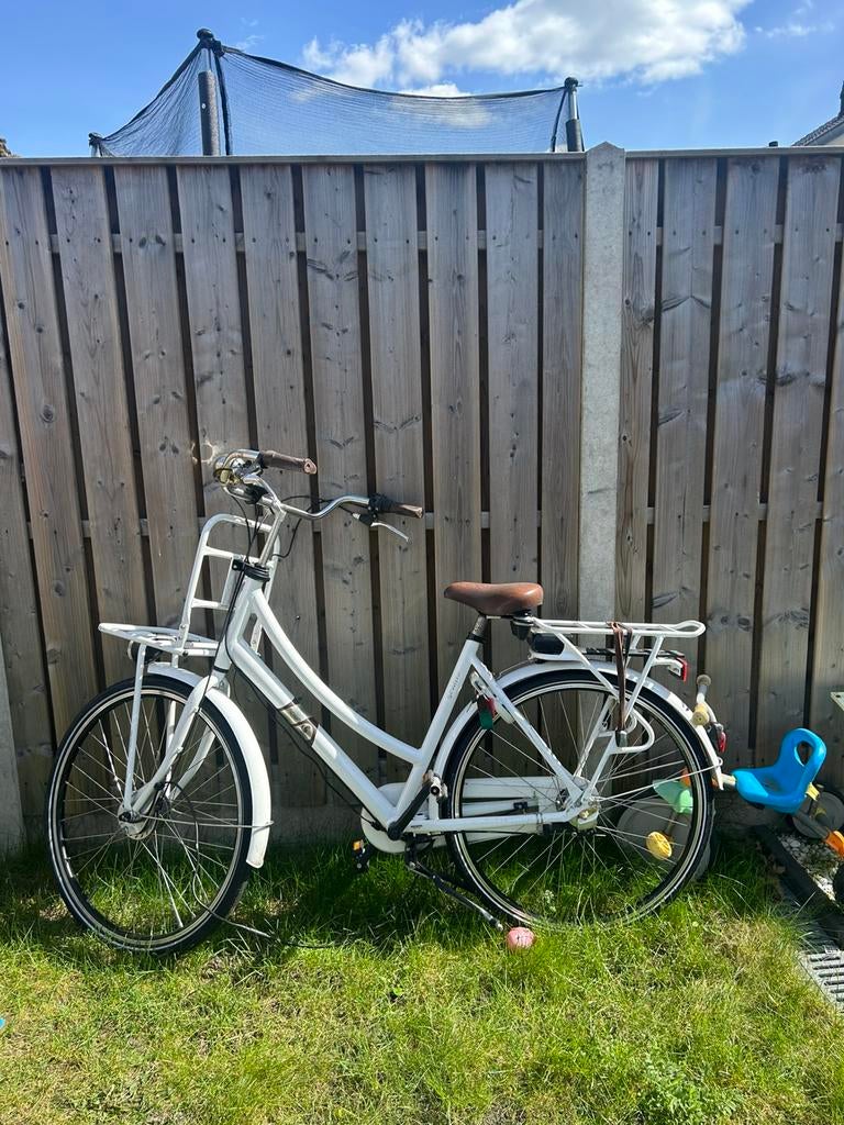 Transport fiets elektrisch, Fietsen en Brommers, Elektrische fietsen, Ophalen of Verzenden, Zo goed als nieuw, Overige merken