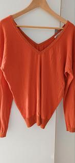 Summum Amsterdam V-hals truitje mt M, Maat 38/40 (M), Oranje, Ophalen of Verzenden, Zo goed als nieuw