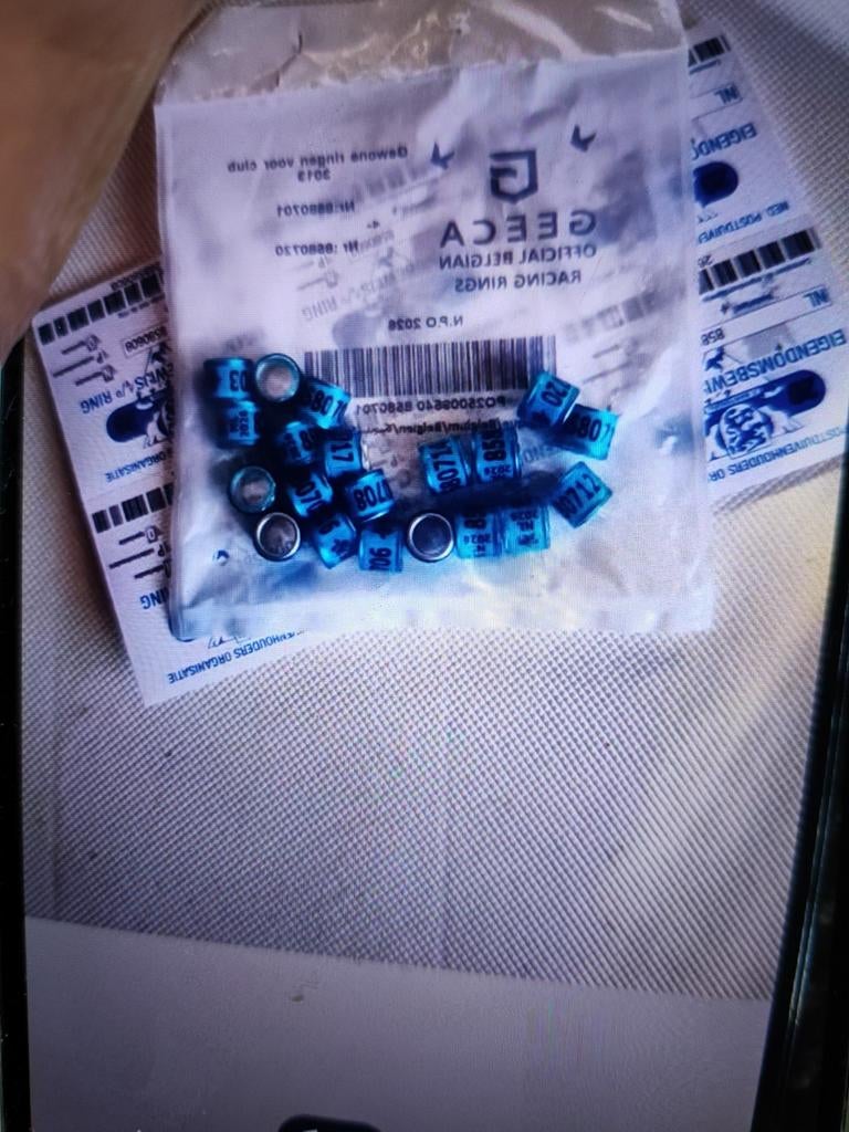 10of 20 NPO ringen te koop, Dieren en Toebehoren, Vogels | Duiven, Postduif