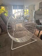 Loopwiel voor knaagdieren, Ophalen, Zo goed als nieuw, Loopwiel of Rad