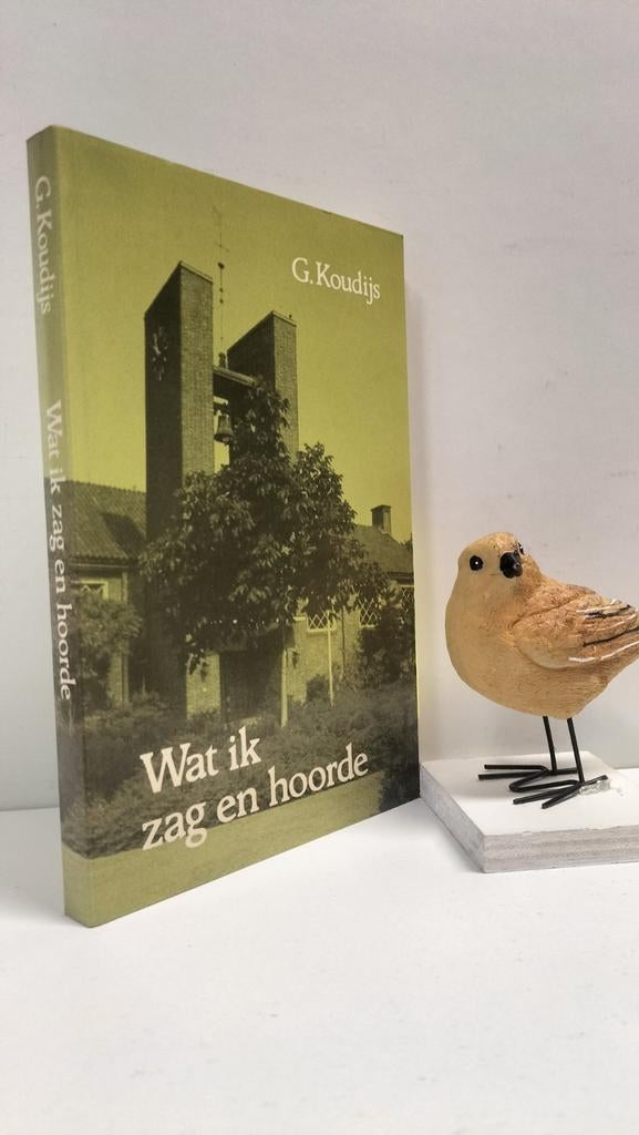 Koudijs, G,; Wat ik zag en hoorde, Ophalen of Verzenden, Gelezen, Christendom | Protestants
