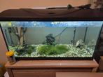 Aquarium compleet 120 liter 80,5x30,5x46cm, Dieren en Toebehoren, Vissen | Aquaria en Toebehoren, Ophalen, Gebruikt, Gevuld zoetwateraquarium