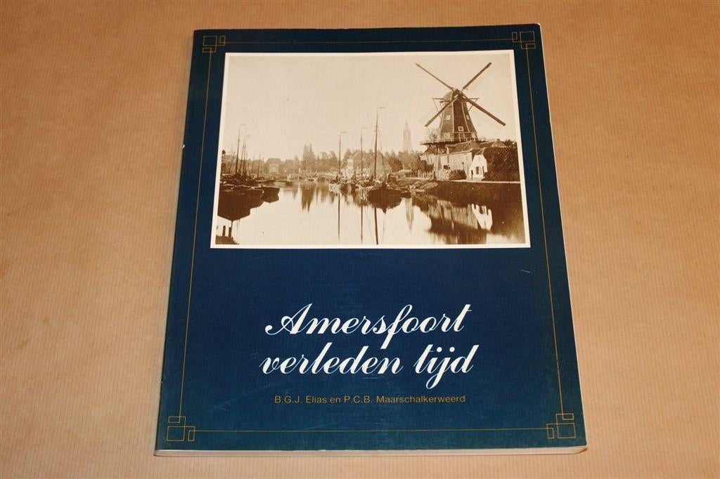 Amersfoort Verleden Tijd — De Geschiedenis in Beeld, Ophalen of Verzenden, Gelezen