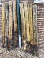 Kastanje tuin paal 1.60 m drsn 10/12 gepunt 11 stuks, Ophalen, Gebruikt, Minder dan 180 cm, Palen