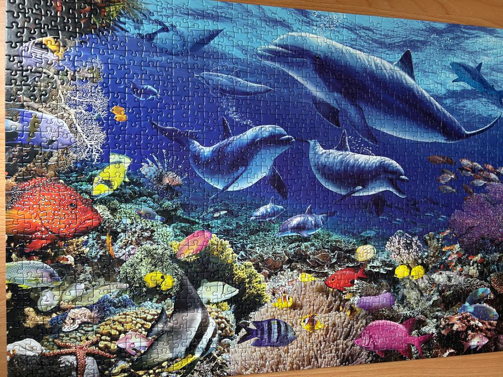 Puzzel Ravensburger" Dolfijnen", Ophalen, 500 t/m 1500 stukjes, Gebruikt, Legpuzzel