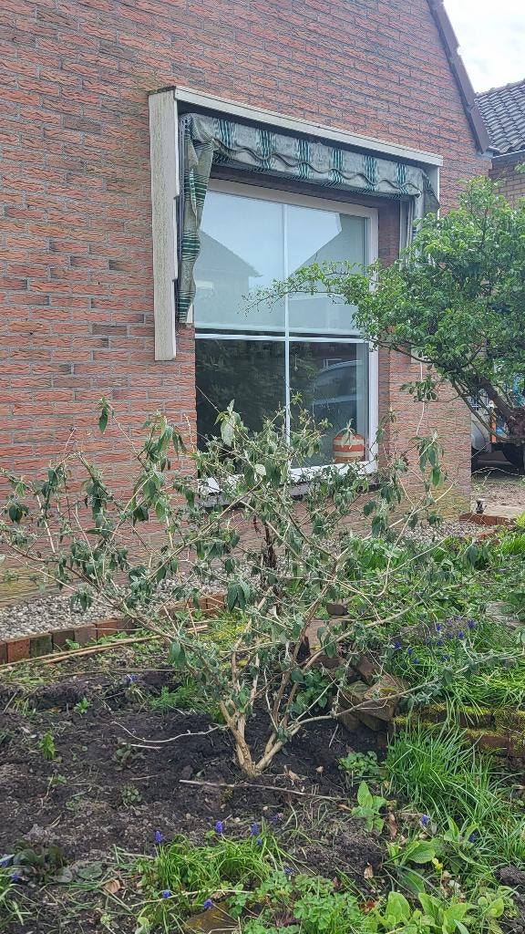 Zonweringen, Ophalen, Gebruikt, Minder dan 250 cm, Markies