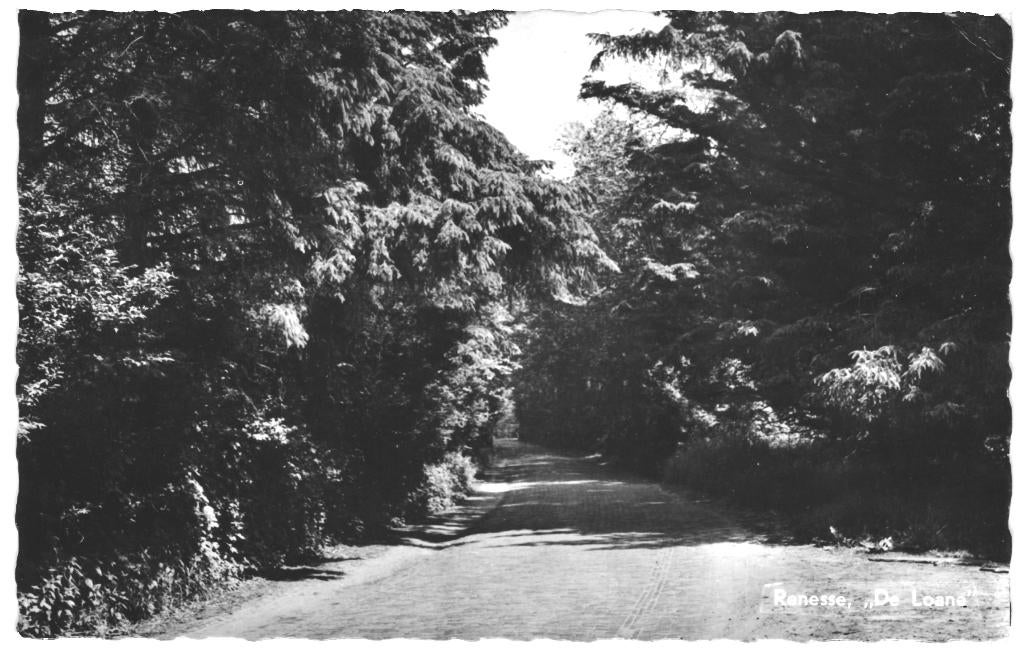 966632 Renesse de Loane JULIANA HOEVE Gelopen met postzegel