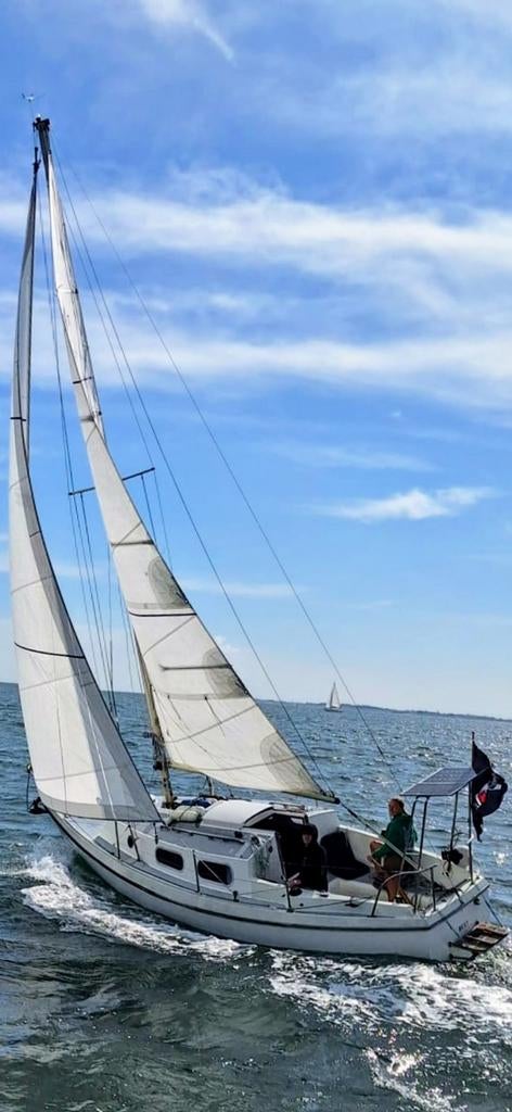 Westerly Tiger 25ft Engelse familie zeiler, Watersport en Boten, Kajuitzeilboten en Zeiljachten, Ophalen, Gebruikt, Diesel, Tourjacht of Cruiser