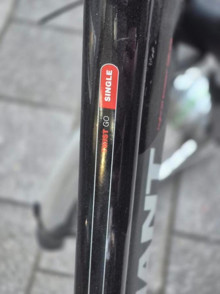 2x Giant Twist Go Single e-bikes met lader, nette staat, Fietsen en Brommers, Elektrische fietsen, Gebruikt, Giant, Ophalen of Verzenden