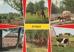 OTTERLO Landschap Paarden Huifkar Koe, Verzenden, 1960 tot 1980, Gelopen, Gelderland