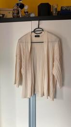 Taifun vestje 46 zgan, Kleding | Dames, Ophalen of Verzenden, Zo goed als nieuw, Maat 46/48 (XL) of groter