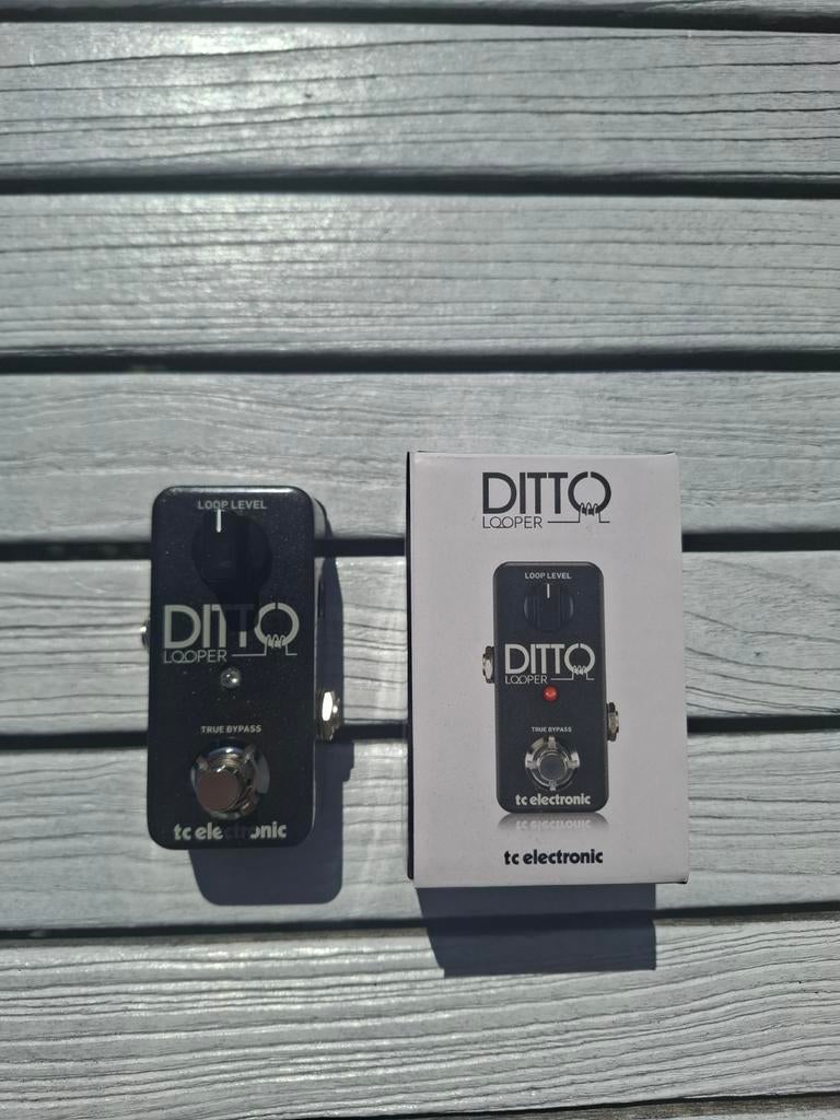 TC Electronic Ditto Looper, Ophalen of Verzenden, Zo goed als nieuw