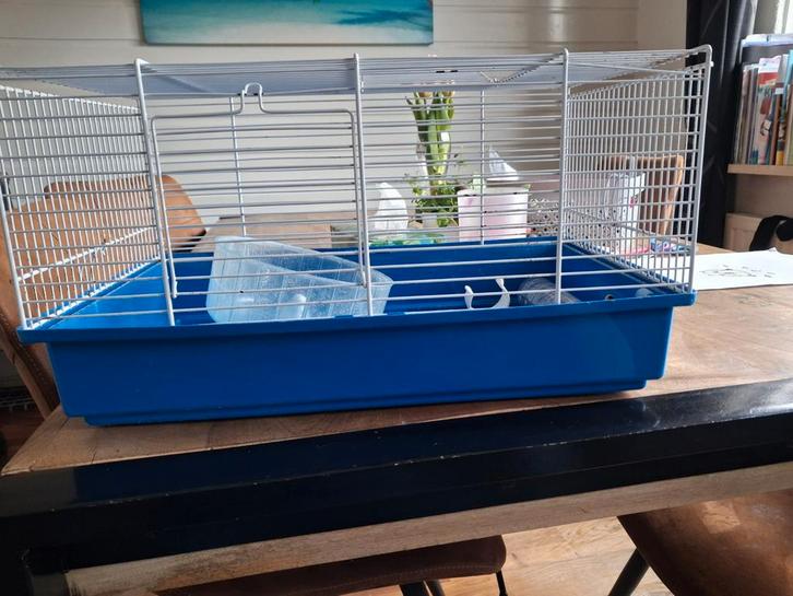 Hamsterhok, Dieren en Toebehoren, Knaagdieren en Konijnen | Hokken en Kooien, Gebruikt, Hok, Minder dan 60 cm, Minder dan 75 cm