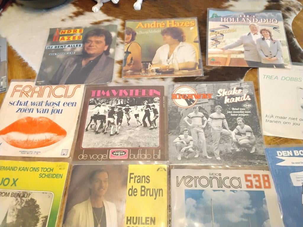 Singles verzameling 385 stuks geheime zender in hoesje, Cd's en Dvd's, Ophalen of Verzenden, Gebruikt, Nederlandstalig