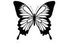 Vlinder stickers in verschillende stijlen verkrijgbaar, Verzenden, Nieuw, Overige typen