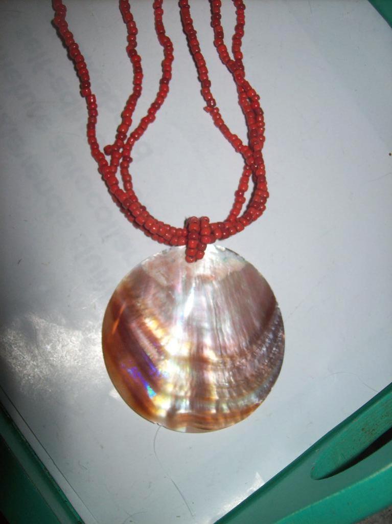 Ketting Oranje Steentjes en Fraaie Mooie Schelp, Sieraden, Tassen en Uiterlijk, Kettingen, Verzenden, Nieuw, Oranje, Steen of Mineraal