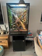 Compleet Habistat terrarium + onderkast, Ophalen, Zo goed als nieuw
