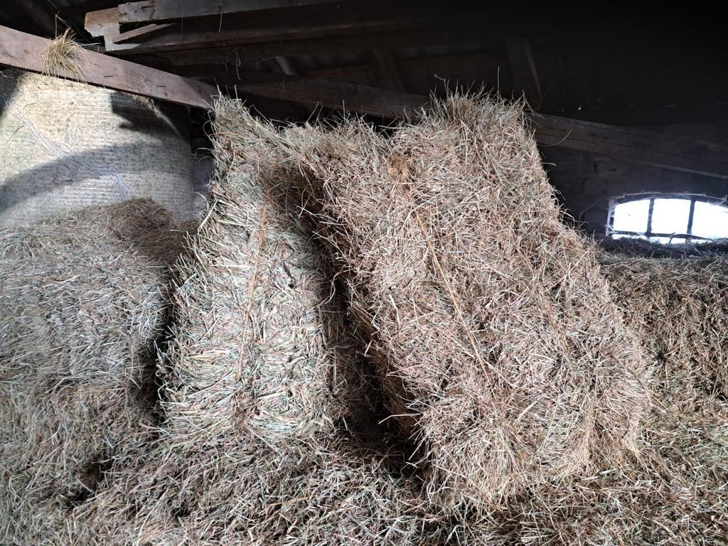 Hooi balen kruiden hooi pakjes, Dieren en Toebehoren, Dierenvoeding, Ophalen of Verzenden, Vee