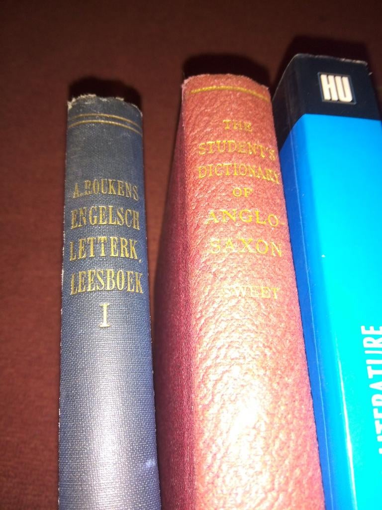 Engelse literatuur en taalboeken (3 stuks), Verzenden, Gelezen, Diverse auteurs