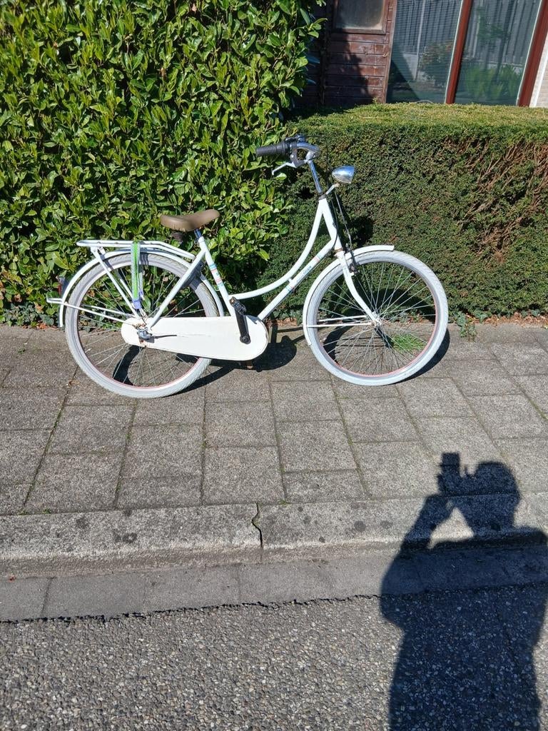 Alpina meisjes fiets 3ver terugtraprem 26 inch, Ophalen, Gebruikt, 26 inch of meer