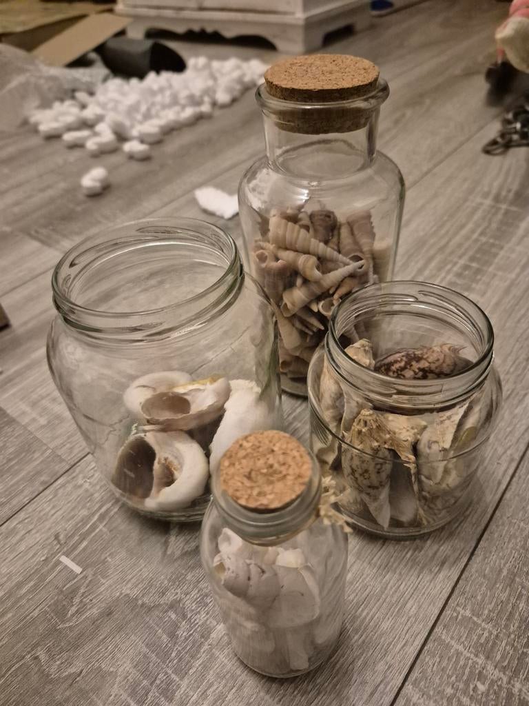 Decoratieve schelpen in glazen potten, Ophalen of Verzenden