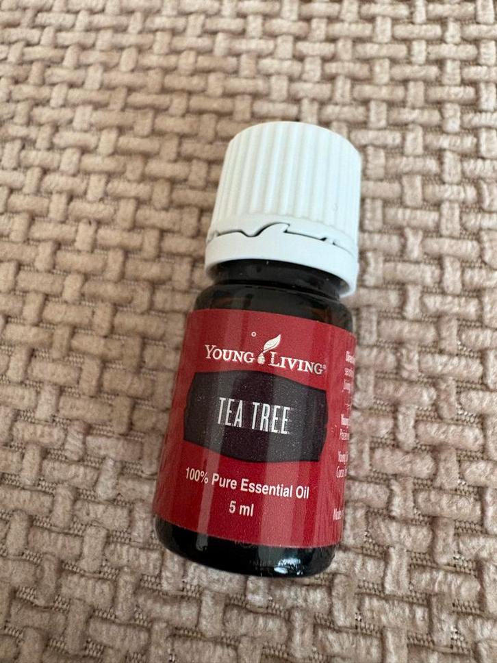 Young Living Tea Tree Essentiële Olie 5 ml, Sieraden, Tassen en Uiterlijk, Uiterlijk | Lichaamsverzorging, Nieuw, Overige typen