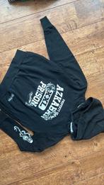 Harry Potter Hoodie 152, Ophalen of Verzenden, Zo goed als nieuw, Meisje, Trui of Vest