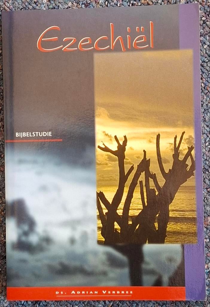 A. Verbree - Ezechiel, Ophalen of Verzenden, Gelezen, A. Verbree