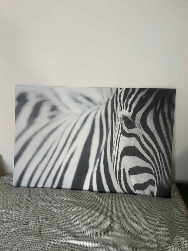 GRATIS IKEA PJÄTTERYD zebra schilderij canvas 78x118 cm, Ophalen