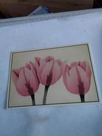 CAROL HOFFNAGLE.  TEXAS TULIPS, Ophalen of Verzenden, Sterren en Beroemdheden