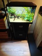 Aquarium, 70 liter, zo goed als nieuw, Dieren en Toebehoren, Ophalen, Zo goed als nieuw, Gevuld zoetwateraquarium