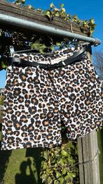 Scotch& soda korte broek nieuw mast 26, Ophalen of Verzenden, Nieuw, Maat 34 (XS) of kleiner, Kort