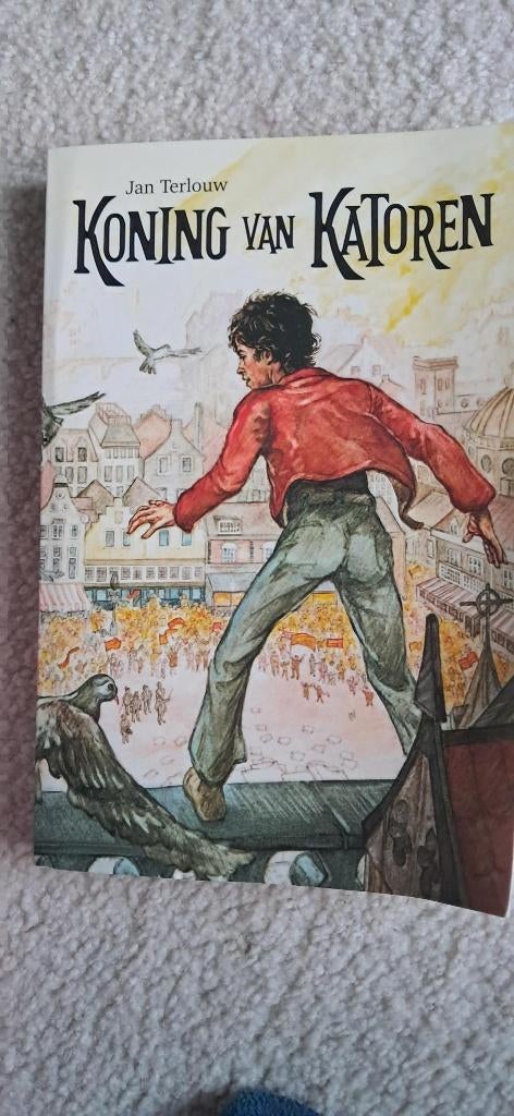 koning van katoren, Boeken, Gelezen, Overige gebieden, Maatschappij en Samenleving, Ophalen of Verzenden