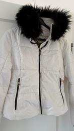 Goldbergh jas 38, Kleding | Dames, Wintersportkleding, Ophalen of Verzenden, Gedragen, Maat 38/40 (M), Jack