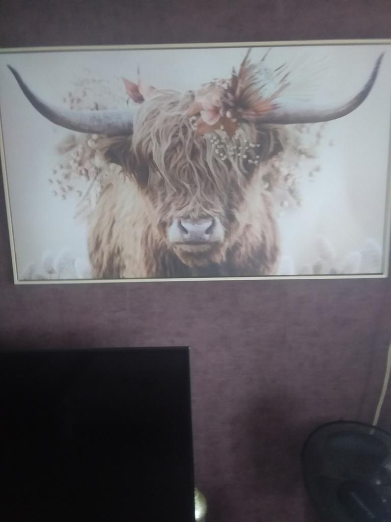 Te koop uit de collectie van reinders, Ophalen of Verzenden, Zo goed als nieuw, Schilderij, 50 tot 75 cm