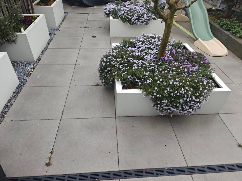 Tuintegels 60x60 cm, 45 stuks (16m2), Ophalen, Beton, Terrastegels