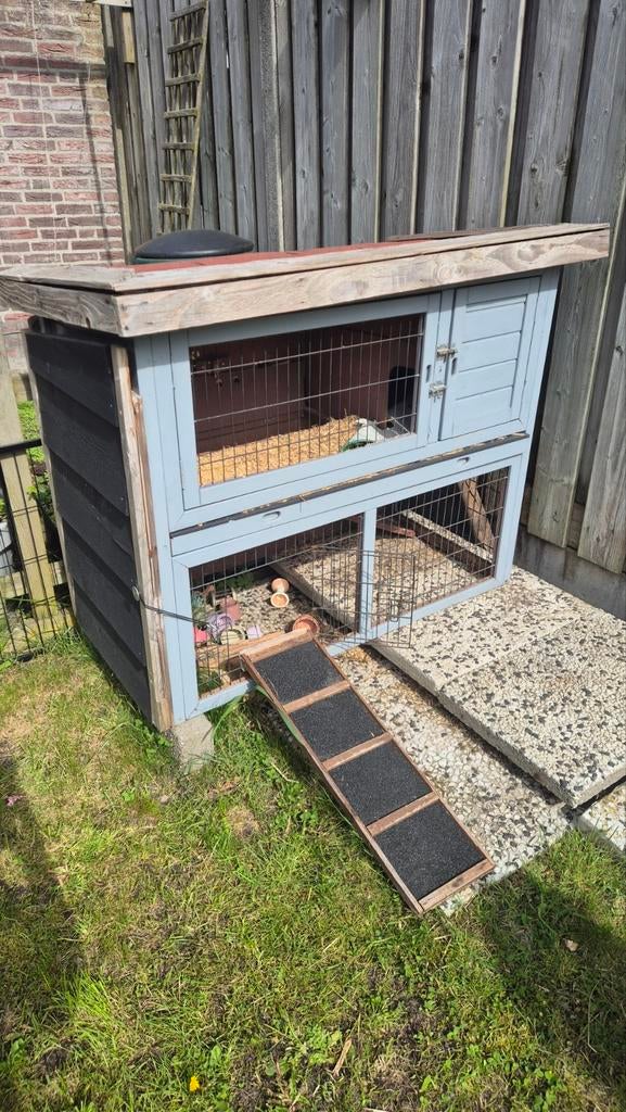 Buitenhok konijn, Dieren en Toebehoren, Ophalen