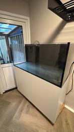 Aquarium (zee) met sump, Ophalen, Zo goed als nieuw, Leeg aquarium