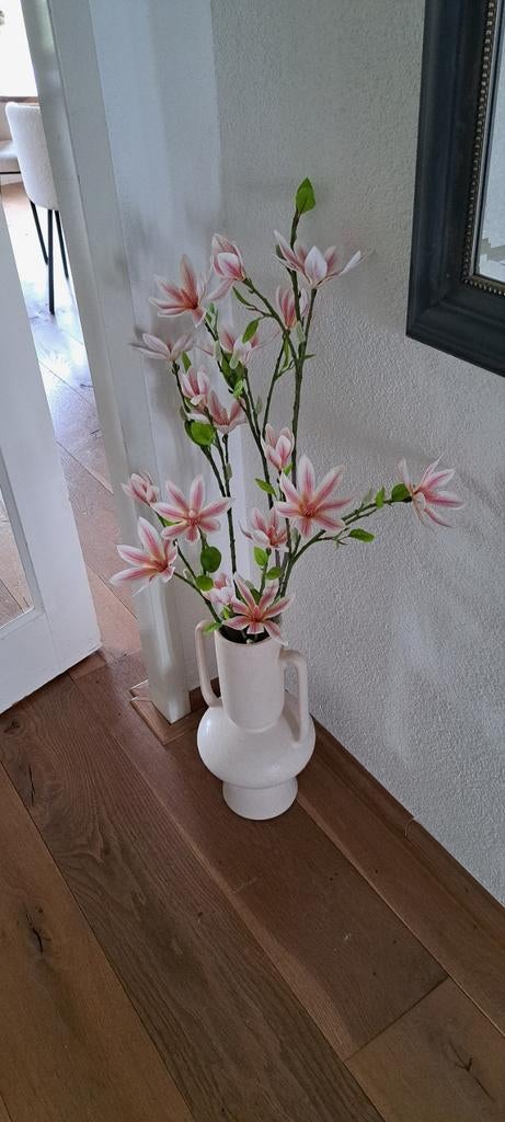 Kunst Magnolia takken, Ophalen, Nieuw