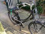 Cortina Roots transport V7 H 50 cm, 50 tot 53 cm, Ophalen, Gebruikt, Versnellingen