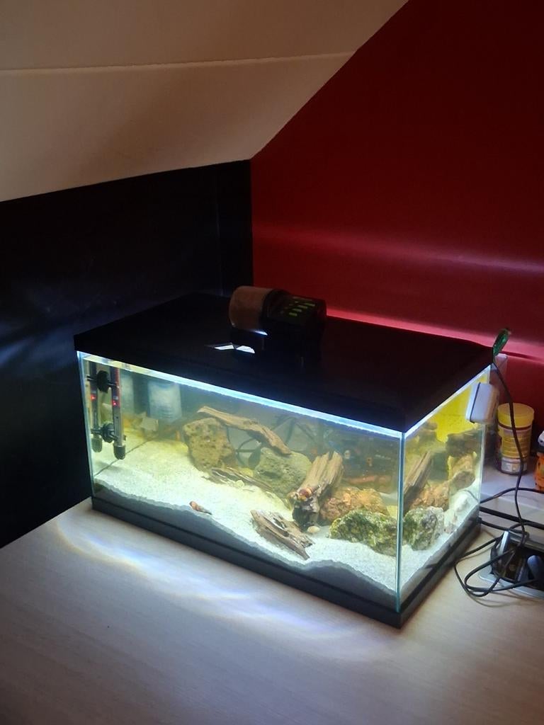 Aquarium 60x30x32, Dieren en Toebehoren, Vissen | Aquaria en Toebehoren, Ophalen, Verwarming, Gebruikt, Leeg aquarium