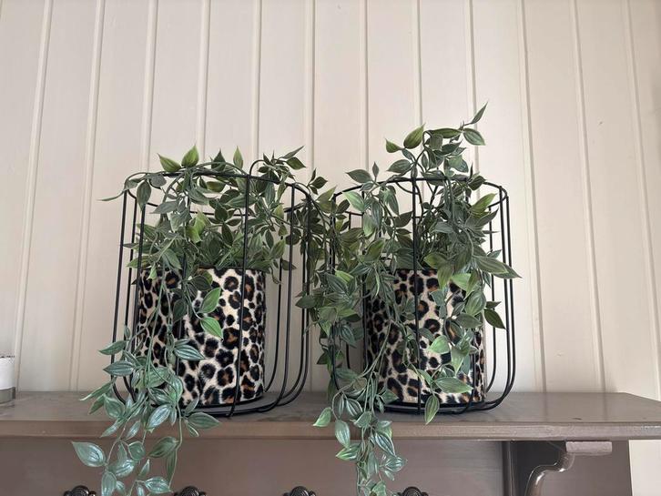 Plastic Bloempotten met Panterprint, Huis en Inrichting, Woonaccessoires | Vazen, Nieuw, Overige kleuren, Minder dan 50 cm, Kunststof