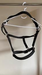 Halster tuigage met halstertouw zwart, Dieren en Toebehoren, Paarden en Pony's | Hoofdstellen en Tuigage, Ophalen of Verzenden