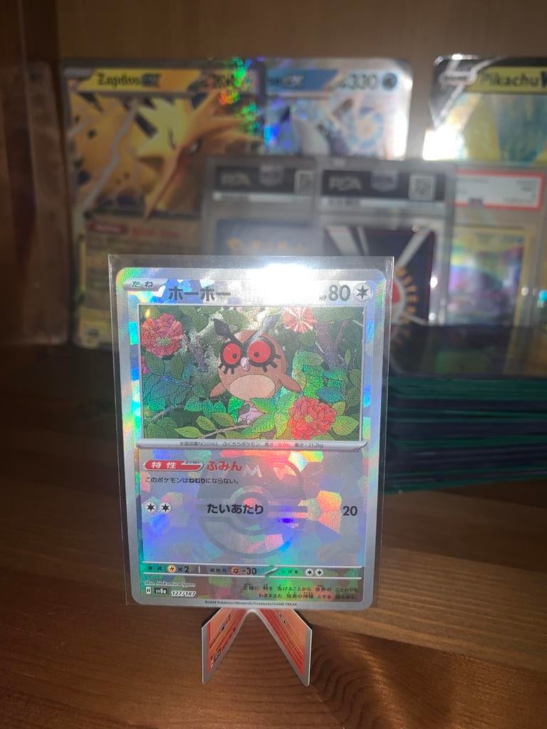 Hoothoot masterball terastal festival #127, Ophalen of Verzenden, Nieuw