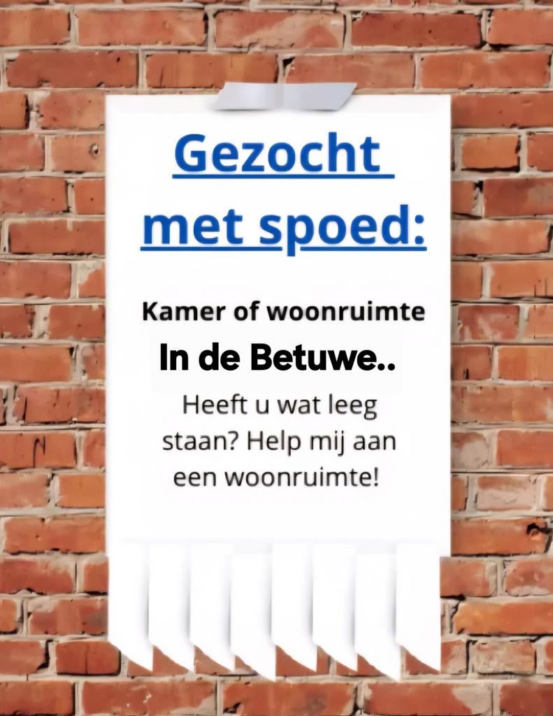 Kamer / woonruimte Betuwe gezocht., Huizen en Kamers, Op zoek naar een kamer